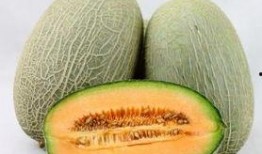 老太婆吃哈密瓜视频大全,趣味视频大盘点