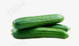 异国文化吃瓜视频下载,吃瓜视频下载之旅