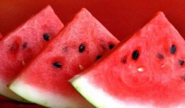 吃瓜长胖了怎么办视频,实用减肥攻略大揭秘