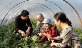 新疆库尔勒吃瓜事件视频