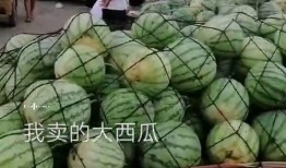 为什么到处都是吃瓜视频,吃瓜视频为何无处不在？