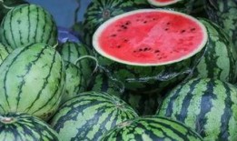 新疆库尔勒吃瓜事件视频