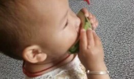 吃瓜群众最先的视频,揭秘热门视频背后的故事