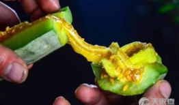 俄罗斯吃羊角瓜视频播放