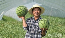 北艺最新吃瓜视频,揭秘校园风云背后的真相