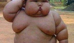 小胖墩吃瓜原视频,萌态十足，网友直呼可爱爆表！