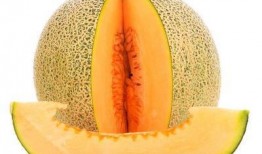 外地人吃哈密瓜好吗视频,一场甜蜜的味蕾之旅