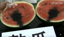 24年最新吃瓜视频,盘点那些让人瞠目结舌的瓜界风云