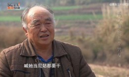 大爷下令吃瓜是真的吗视频,网络热传视频背后的真相