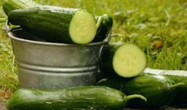 重庆信鼎吃瓜事件视频,一场网络热议的瓜田奇谈