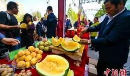 美国人到中国吃瓜视频播放,一场跨越国界的味蕾之旅