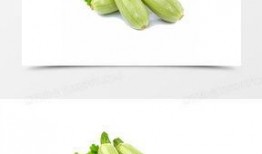 吃鸡葫芦瓜视频大全,趣味横生的美食挑战盛宴