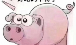 牛吃老瓜的视频播放大全,视频播放大全精彩瞬间回顾