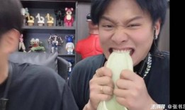 吃瓜小杨哥爸爸视频大全,趣味视频大盘点