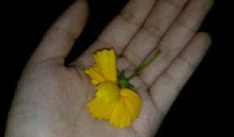 吃瓜群众电影素材视频大全,揭秘影视幕后精彩瞬间