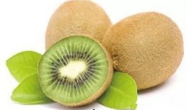 陈泽吃瓜猕猴桃视频,趣味横生瞬间引网友热议