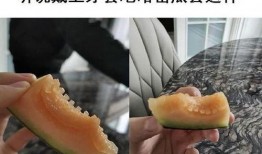 锯齿牙吃哈密瓜视频,趣味视频带你领略美食与挑战的碰撞