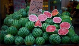 纸相册吃瓜视频,揭秘那些年我们一起追过的“瓜”