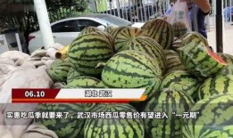 吃瓜第一期视频,揭秘娱乐圈幕后真相，带你走进明星生活