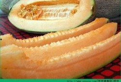 吃哈密瓜的皮的视频