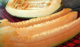 吃哈密瓜的皮的视频