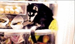 吃瓜视频为什么那么多吓人的,揭秘吃瓜视频惊悚元素盛行之谜