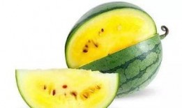 吃瓜哪里便宜好吃呢视频,便宜又美味的吃瓜攻略