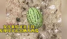 女子坟头吃瓜视频,揭秘网络恶搞背后的道德困境