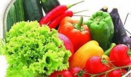 小瓜适合做什么菜吃呢视频,解锁小瓜的多变美味