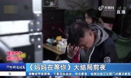 专心吃瓜大结局视频播放,揭秘剧情高潮与结局揭秘