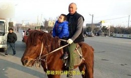 詹娜骑马吃瓜视频大全集,趣味横生的视频大全集回顾