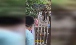 唐三吃瓜现场视频完整版,全程揭秘，笑料百出！