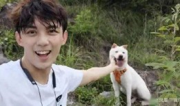 爬山吃瓜视频,揭秘网络短视频背后的趣味与思考