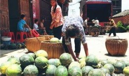 武冈吃瓜现场视频最新,全民围观的热闹一幕