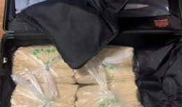 行李箱吃瓜视频