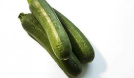 动物吃角瓜视频大全,动物们的独特吃瓜体验