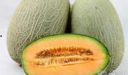 吃超大哈密瓜视频,见证味蕾盛宴！