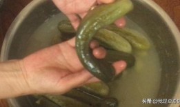 吃瓜视频小皮,揭秘娱乐圈幕后故事