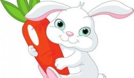 小白兔视频吃哈密瓜,哈密瓜大餐欢乐时光