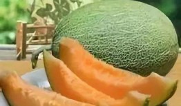 日本富豪吃哈密瓜事件视频