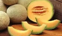 锯齿牙吃哈密瓜视频,趣味视频带你领略美食与挑战的碰撞