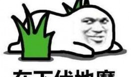 瓜娃子玩吃鸡视频,欢乐无限，笑料横生