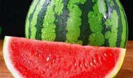 老外吃麒麟瓜好吗图片视频,新奇体验与味蕾碰撞