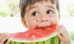 秃崽最新吃瓜视频,揭秘娱乐圈幕后真相