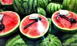 吃瓜视频小皮,揭秘娱乐圈幕后故事