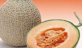 给外国婆婆吃哈密瓜视频,感受中国甜蜜滋味