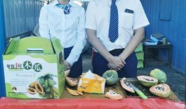 真实吃瓜户外直播视频,一场真实热闹的现场盛宴