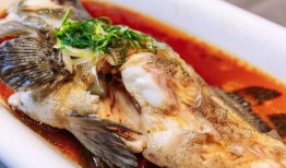 活八瓜鱼吃货视频在线观看