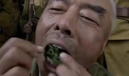 大爷下令吃瓜是真的吗视频,网络热传视频背后的真相