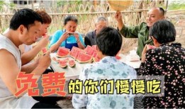 老表卖西瓜吃瓜视频,一场别开生面的吃瓜盛宴